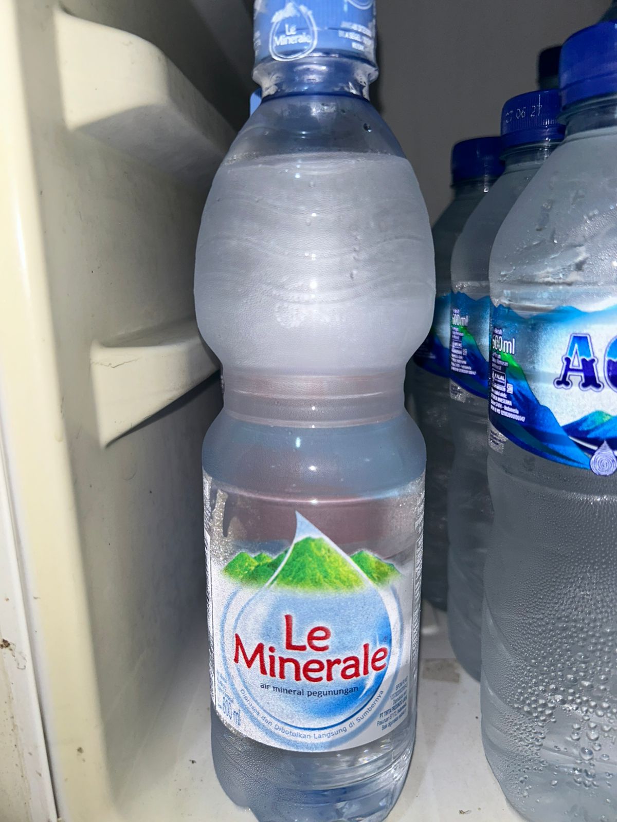 LE MINERAL 600ML